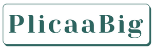 plicabig.com